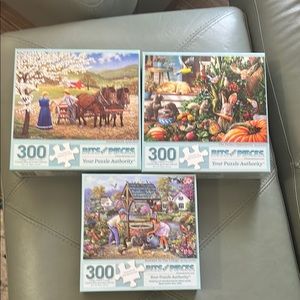 Puzzle Set - 300 Piece Jigsaw Puzzles